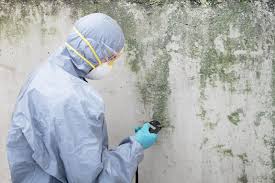 Best Residential Mold Inspection & Testing  in Hill City, KS